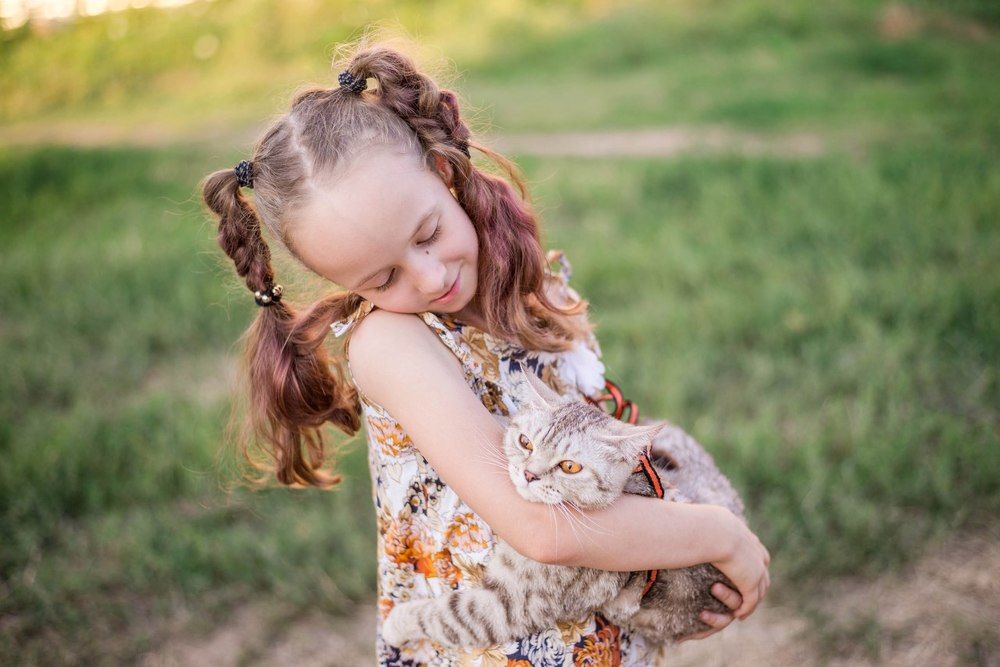 Любимая кошка