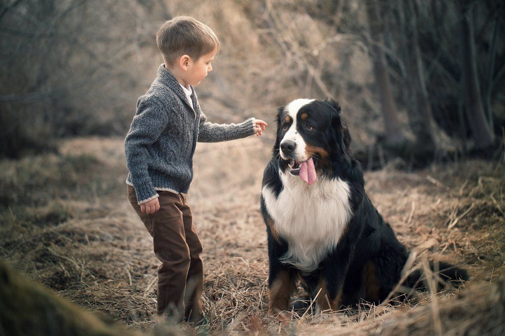 Рома и Цизар