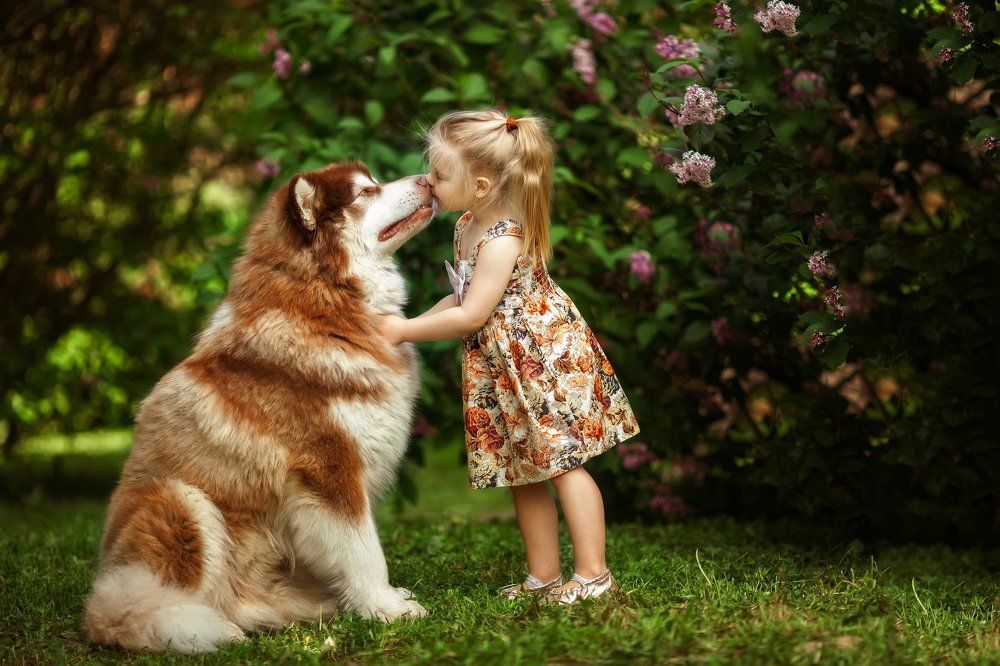 Верные друзья