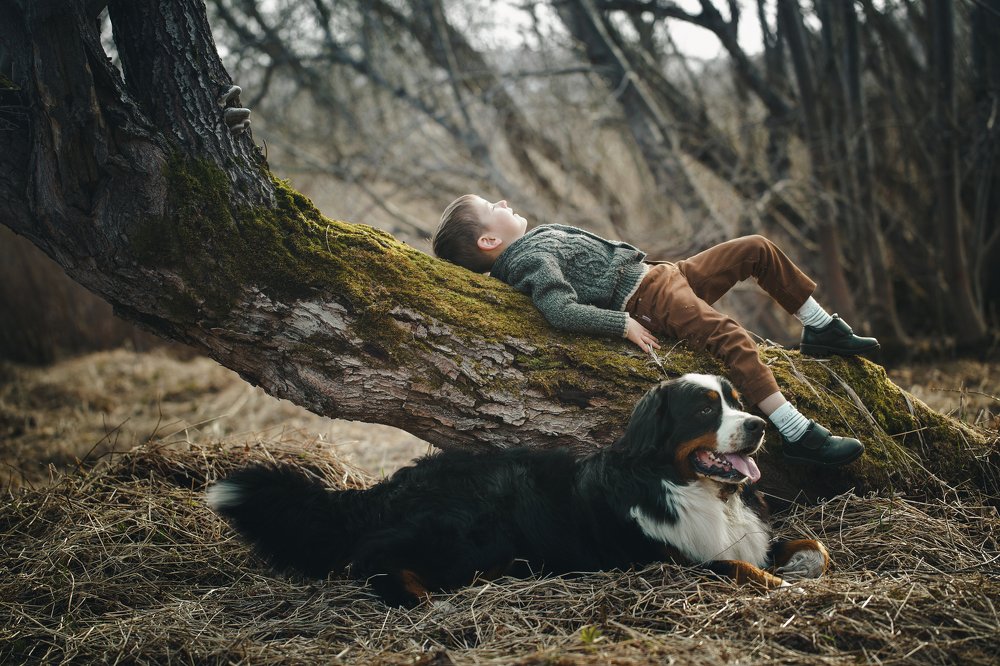 Рома и Цизар