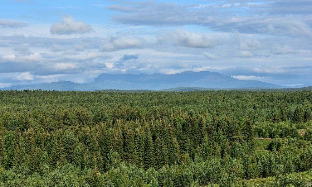 Уральские зарисовки!