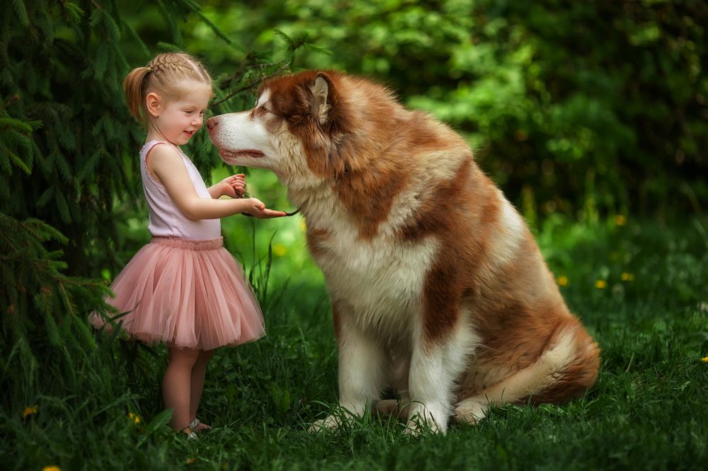 Photograph by Каро Анжелика