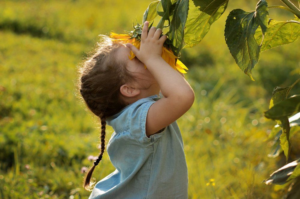Чем пахнет лето?