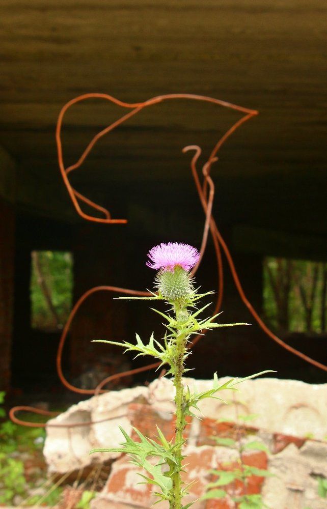 Жизнь после нас