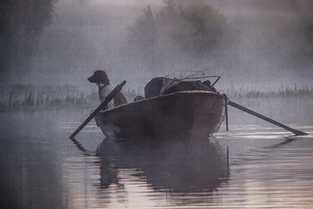 Собака рыбака