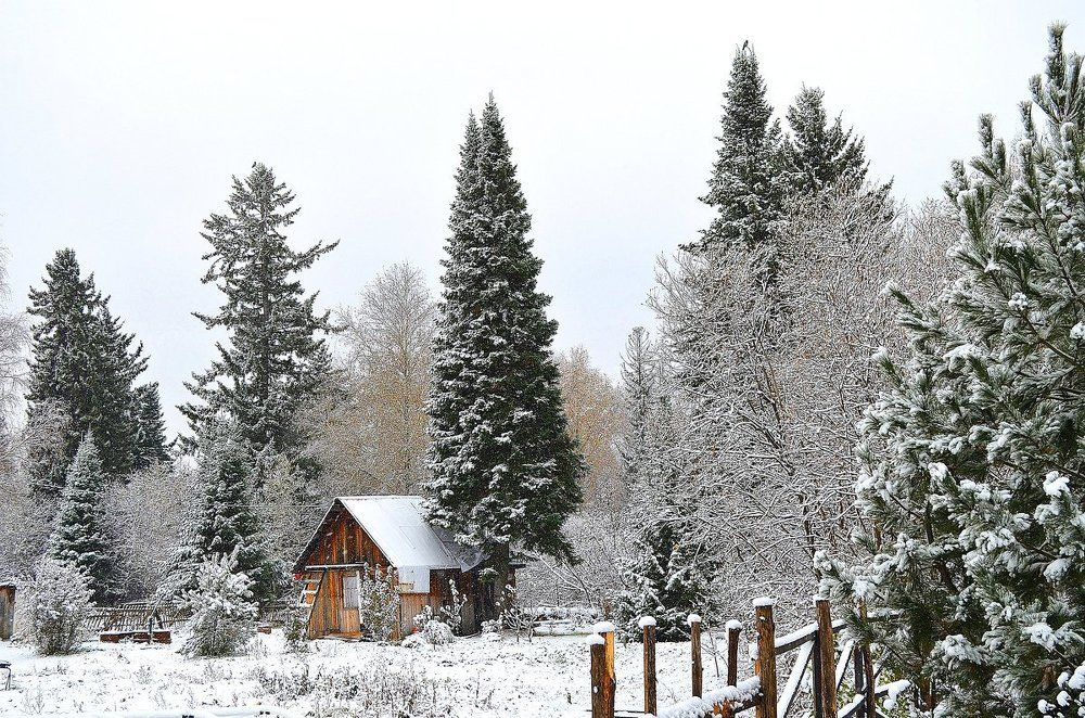 Снежная осень