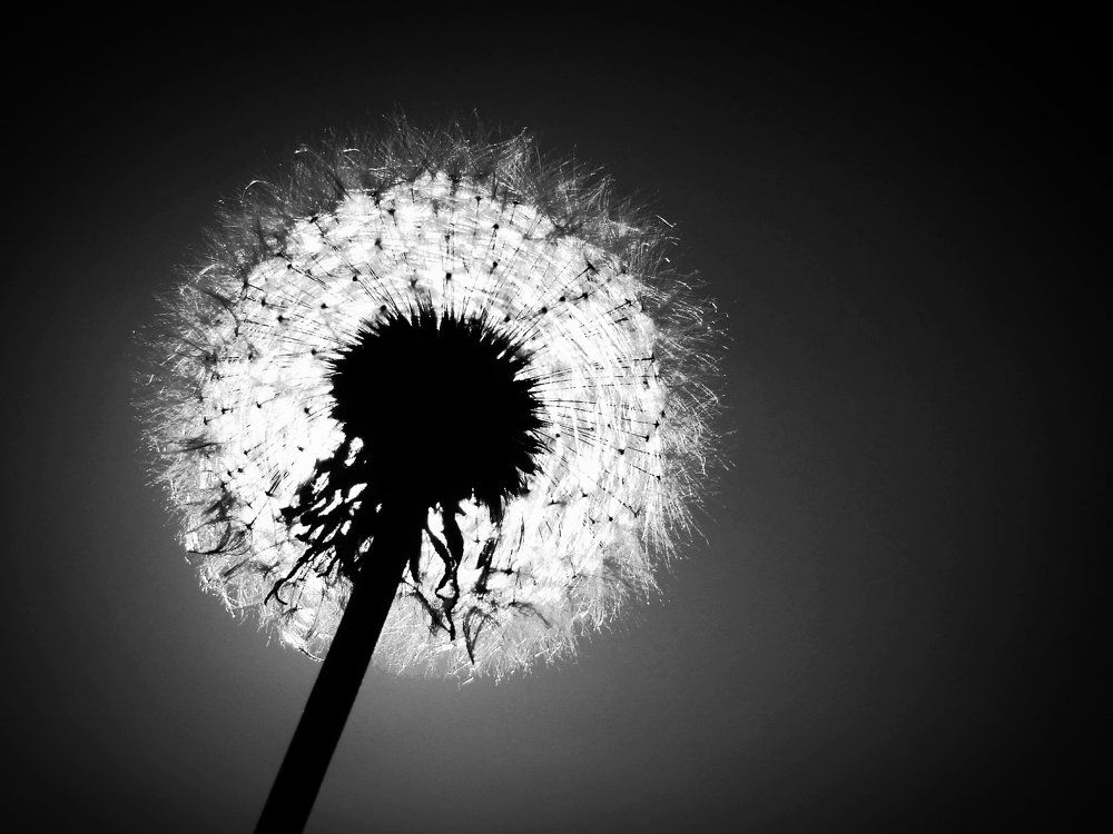 Photograph by Стефанова Татьяна