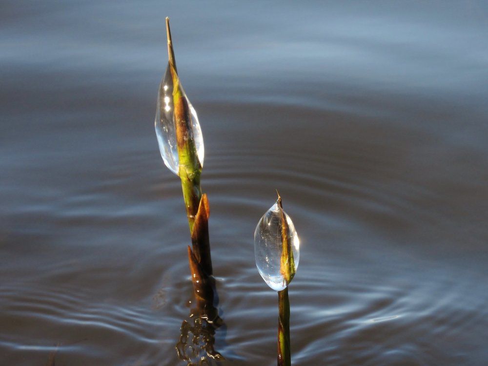 Photograph by Виктор Карпухин