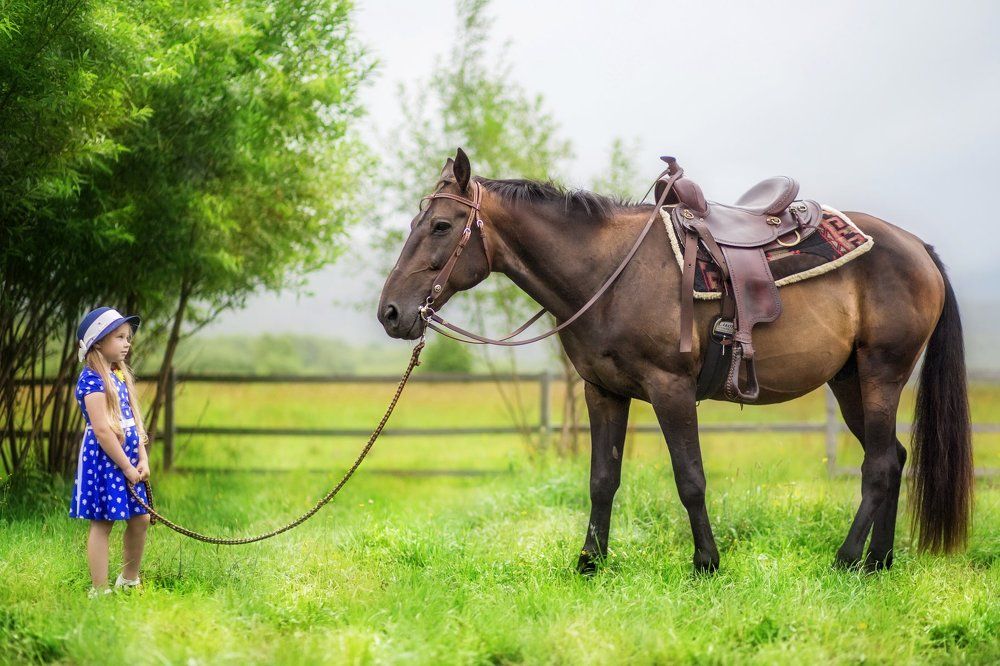 Злата и Рассвет