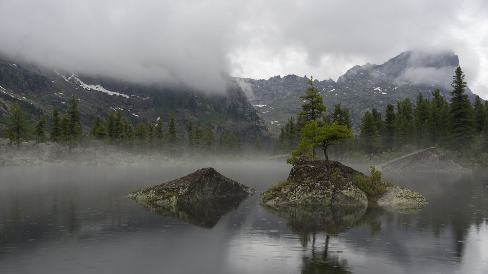 ... просто дождь