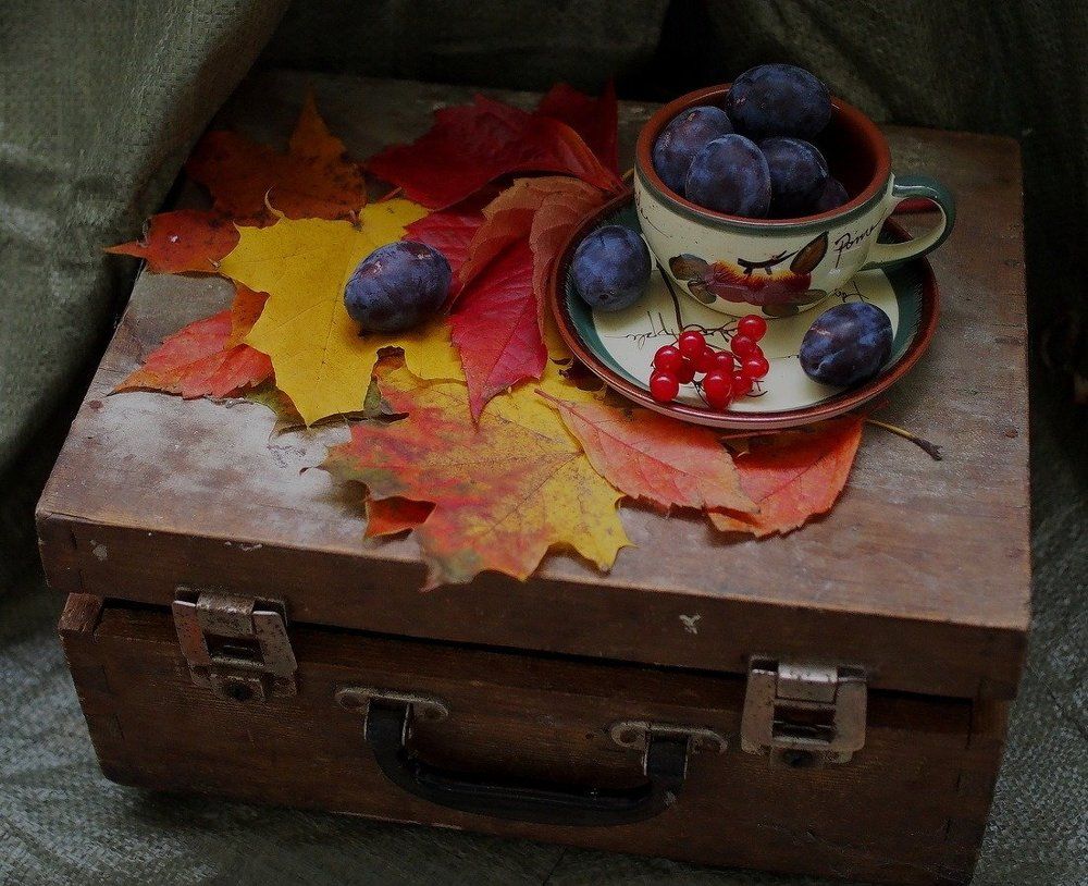 Осенние дары