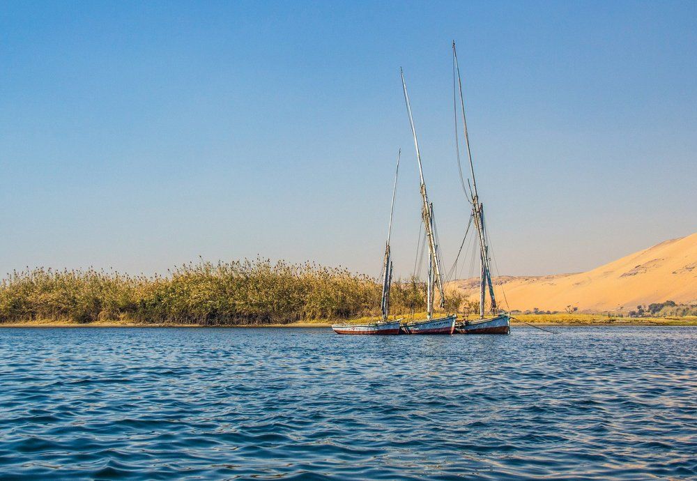 Felucca