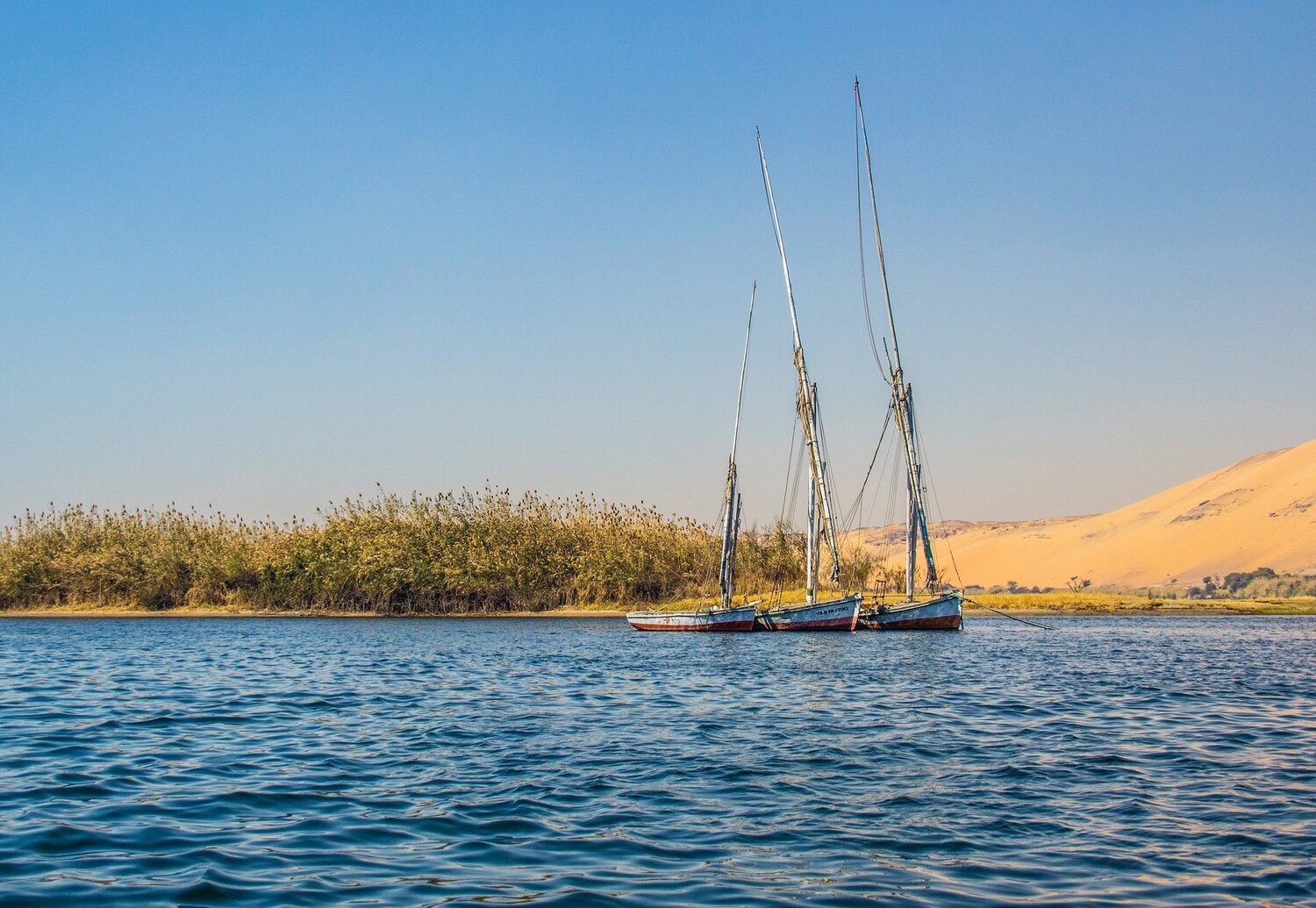 Felucca