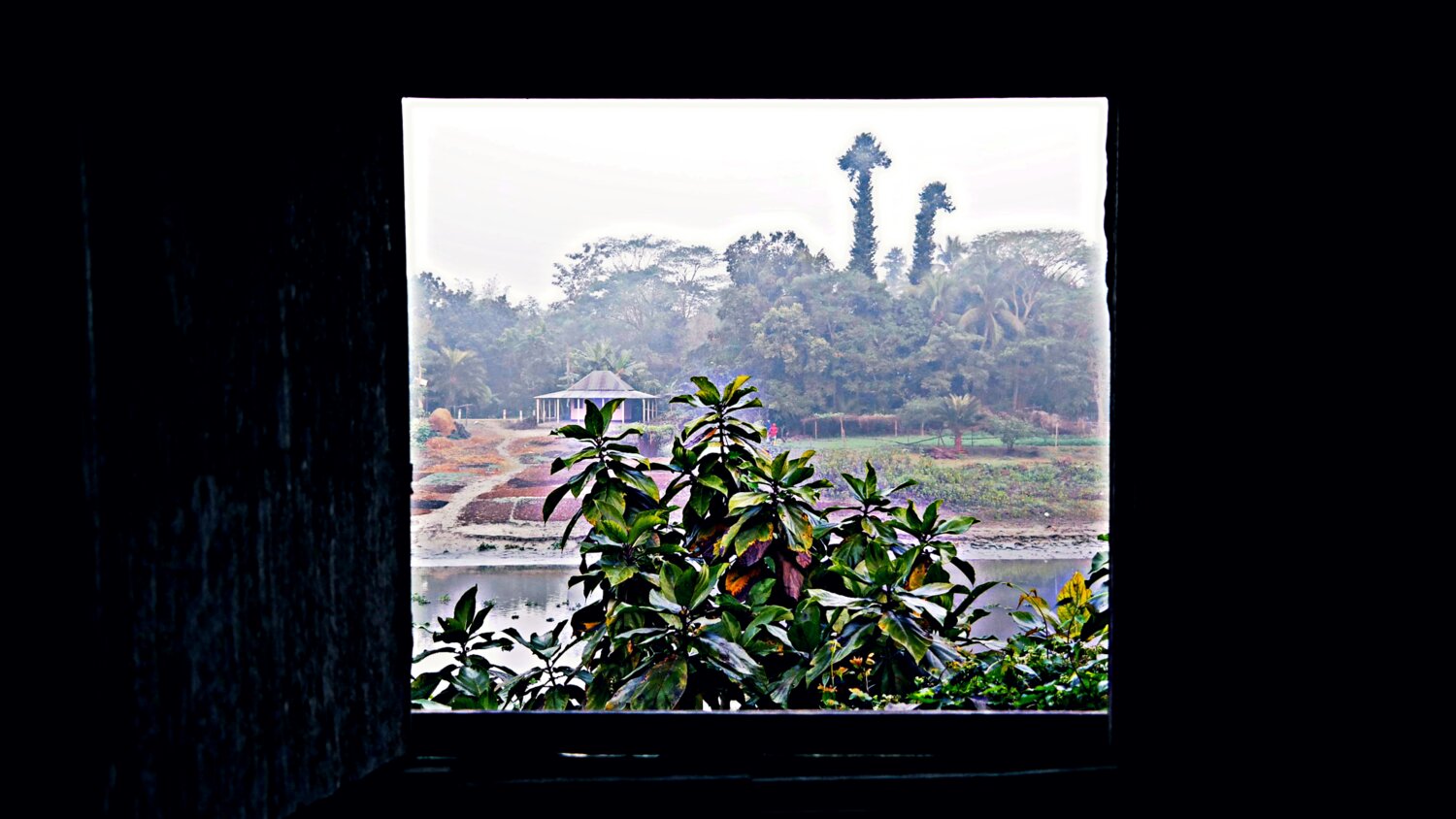 WINDOW TO BEAUTY OF NATURE