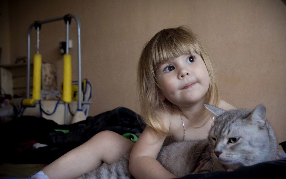 Любовь во всём.