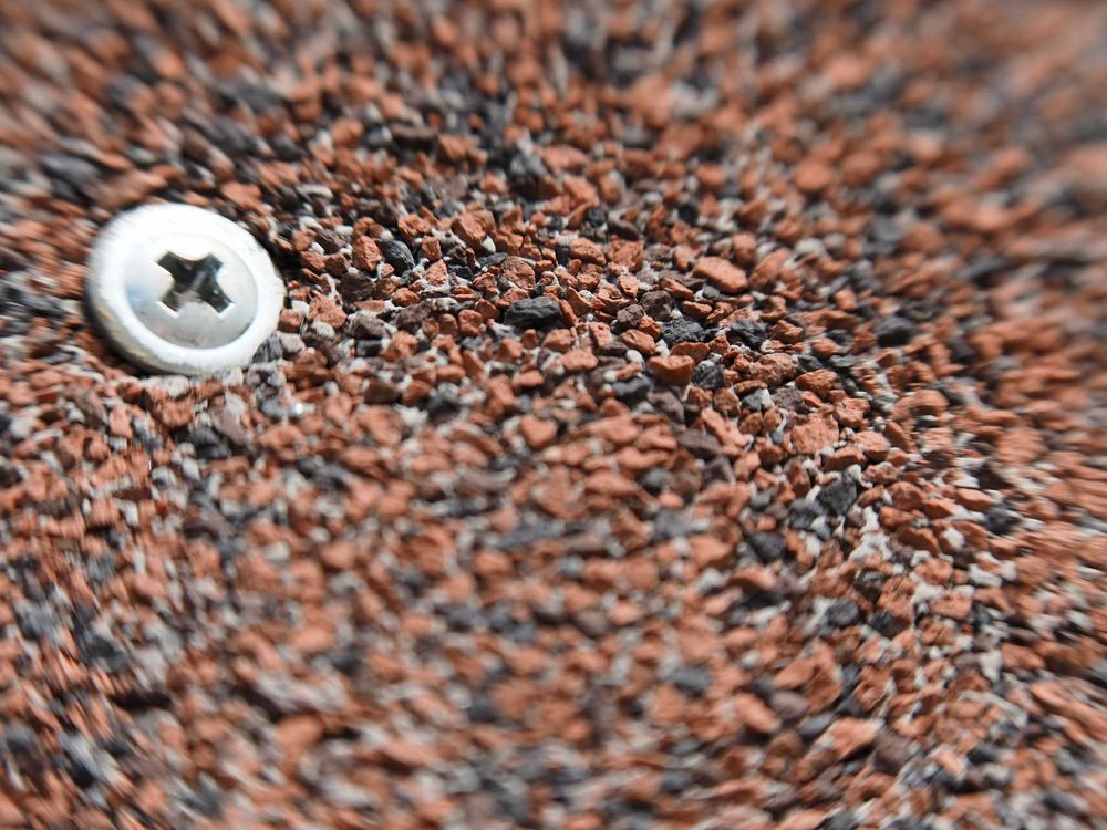 Фотография автора Александр Петаев