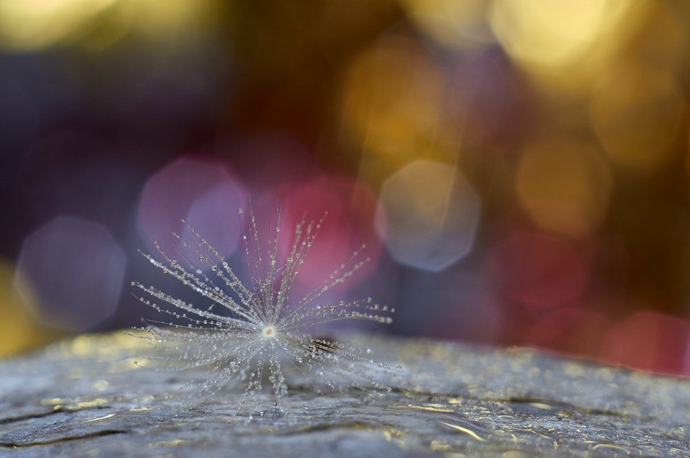 Photograph by Евгений Лобойко