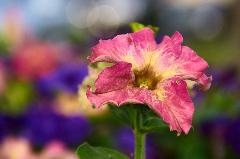 Photograph by Евгений Лобойко