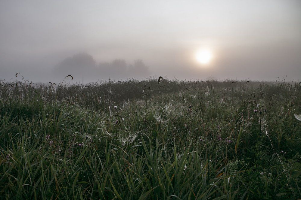 утро туманное