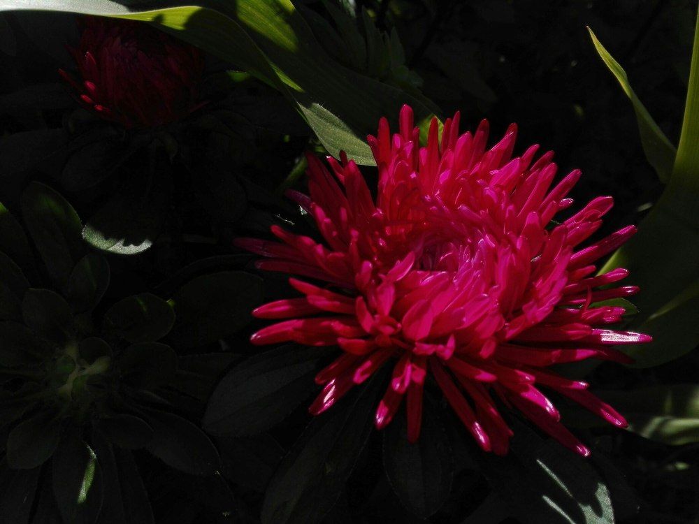 В темном царстве