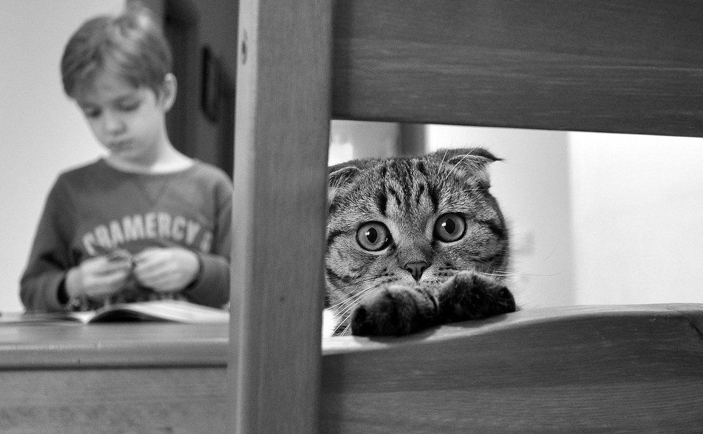 "И не мешай нам делать уроки!"