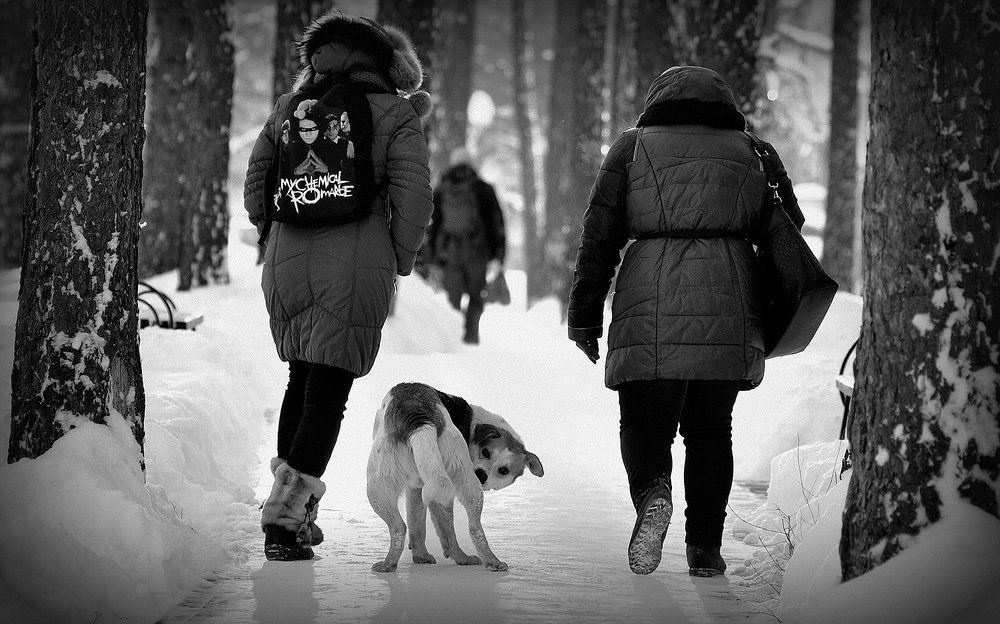 Кажется за нами хвост...