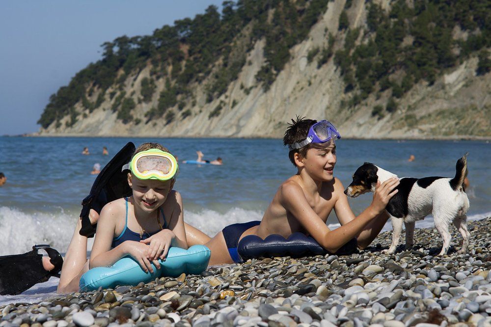 Собака в кадре!