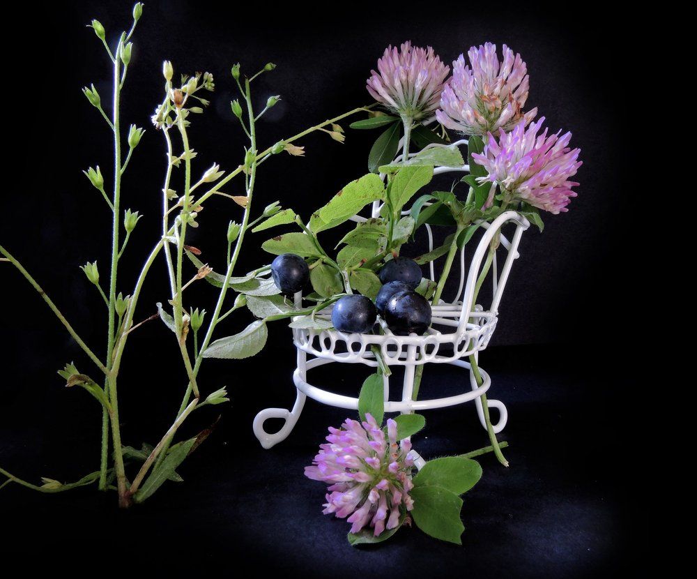 Макро-композиция с клевером и черникой.