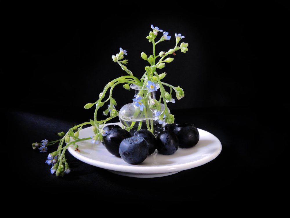 Макро-композиция с голубыми цветами и черникой.