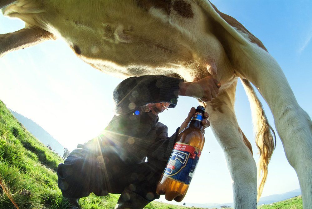 Drink kids milk for healthy