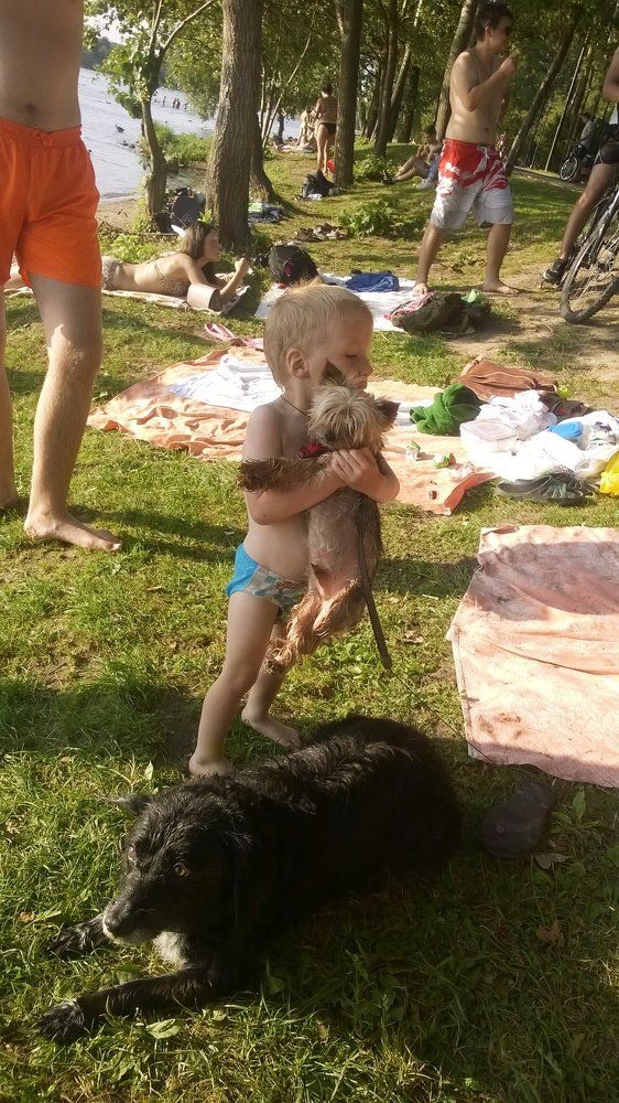 Дай пожалею