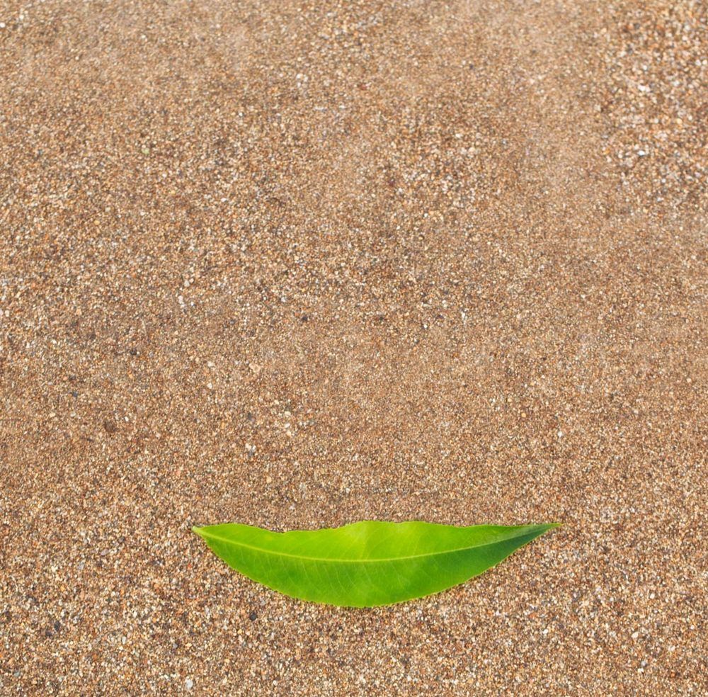 улыбка лета