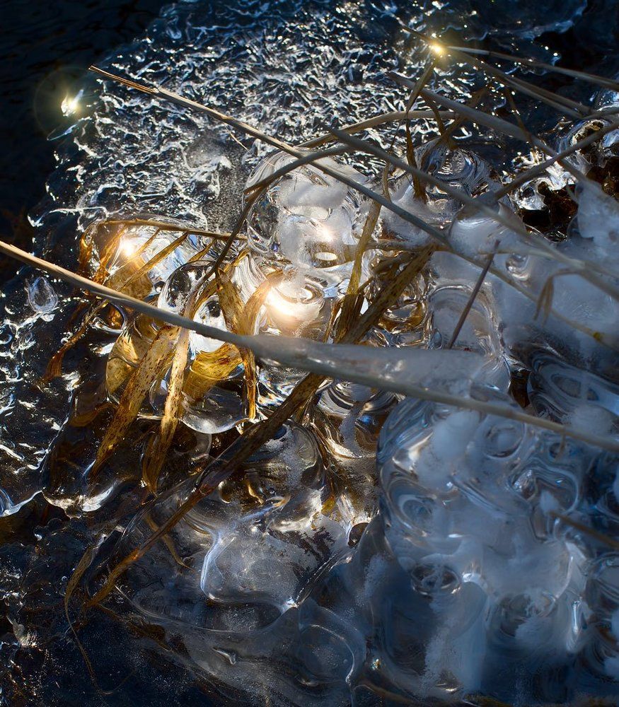 песнь льда и света