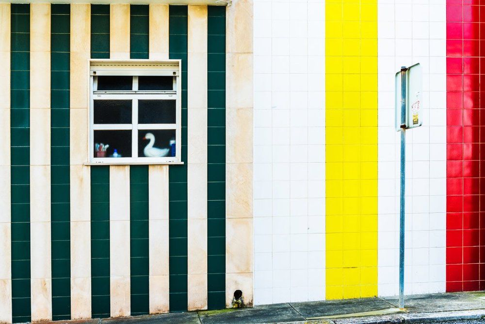 Полосатая жизнь