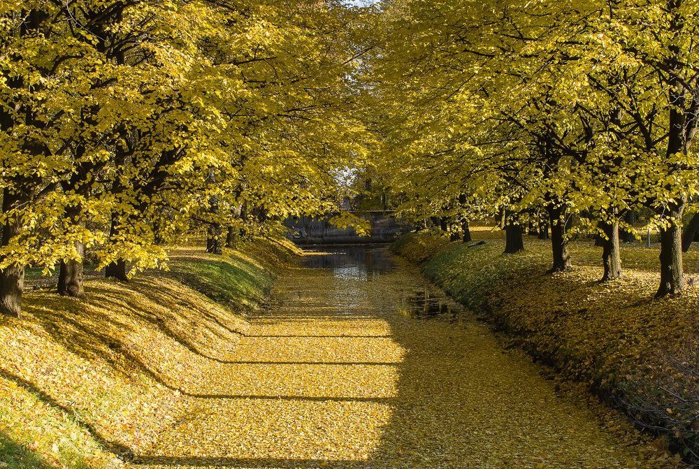 Осенний парк