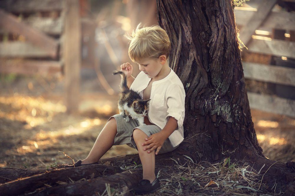 Фотография автора Александра Черемохина