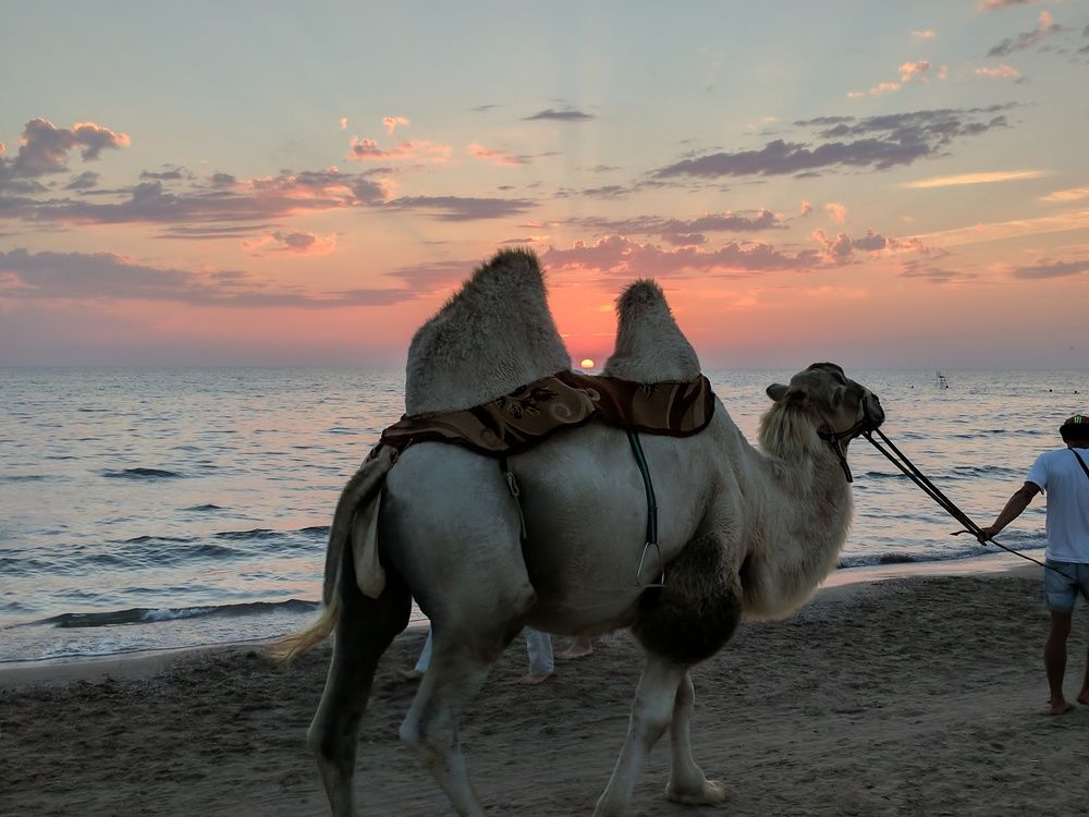 Закат на пляже