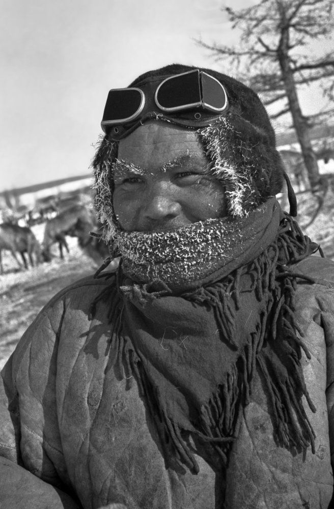 Таймыр , оленевод .