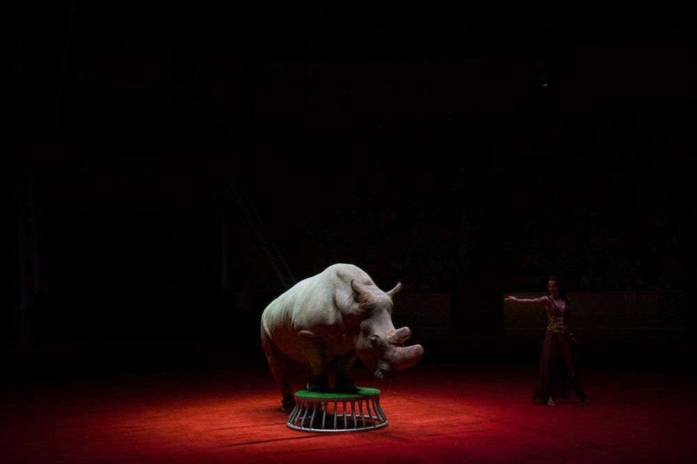 Photograph by Григорий Привезенцев