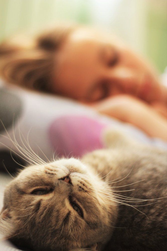 Photograph by анна