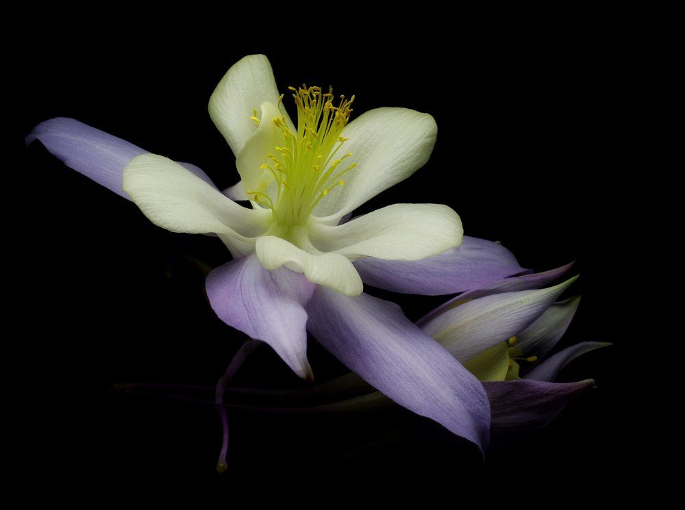 Состояние #83