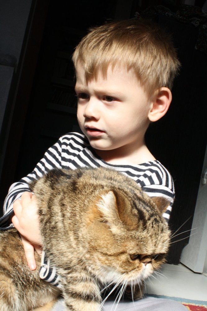 Малышь и кот