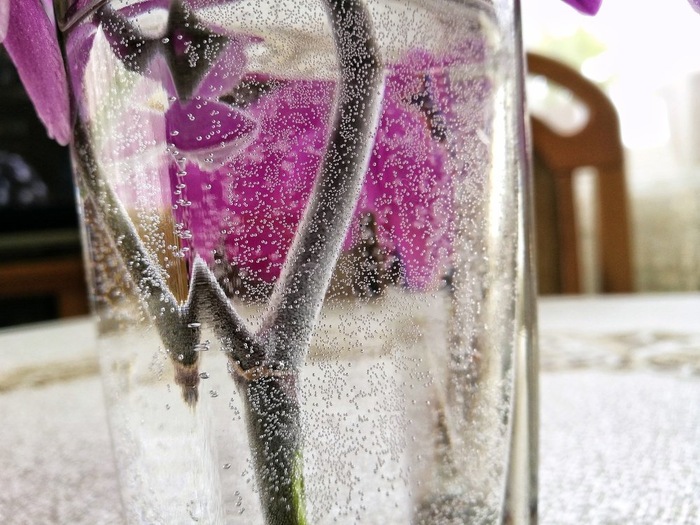 Photo #1898151