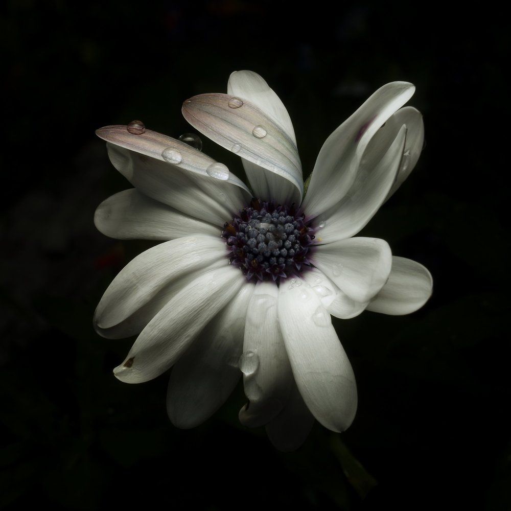 Состояние #23