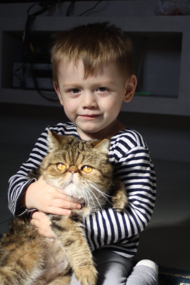 Photograph by Ирина Костенко