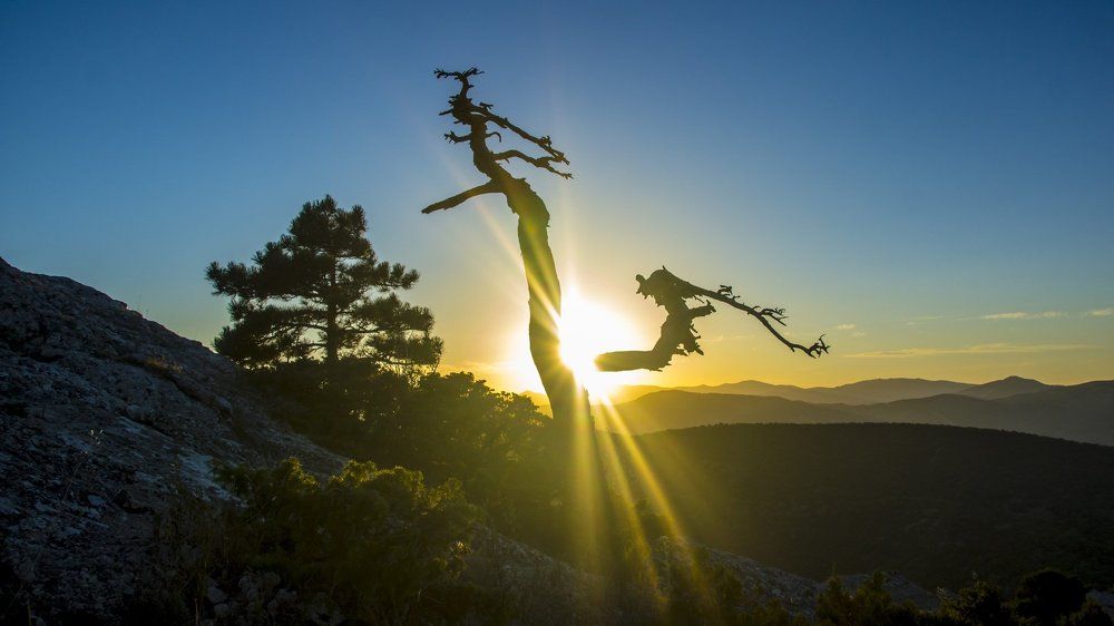 Photograph by вадим аврахов