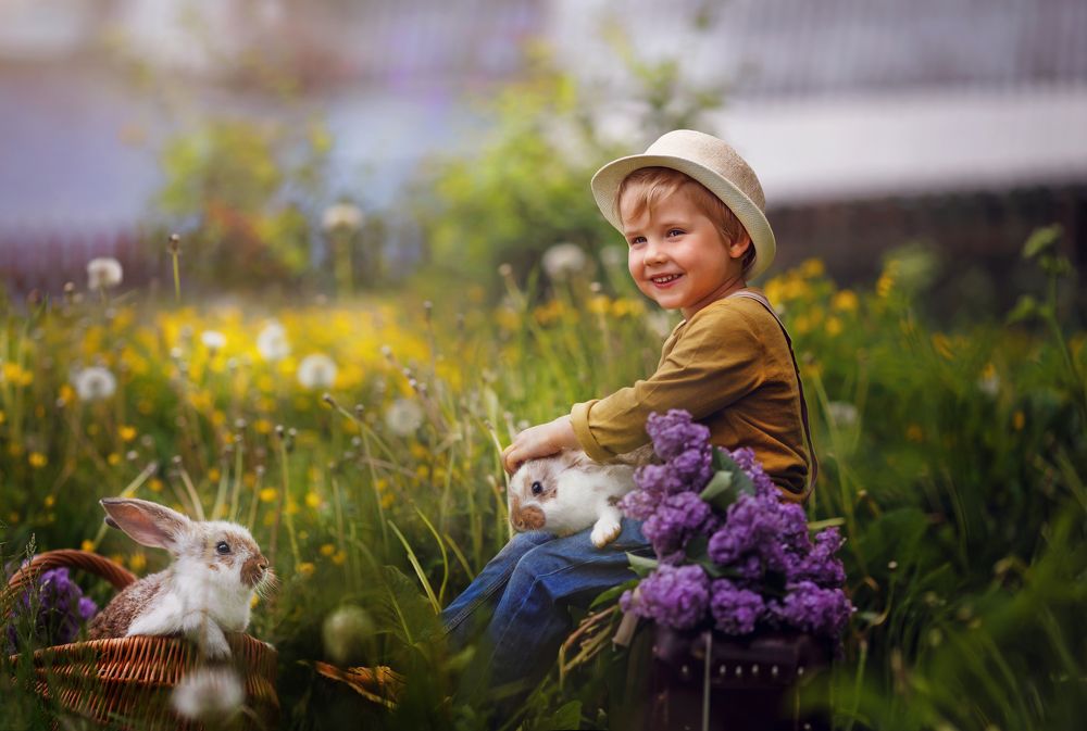 обыкновенное Чудо в деревне