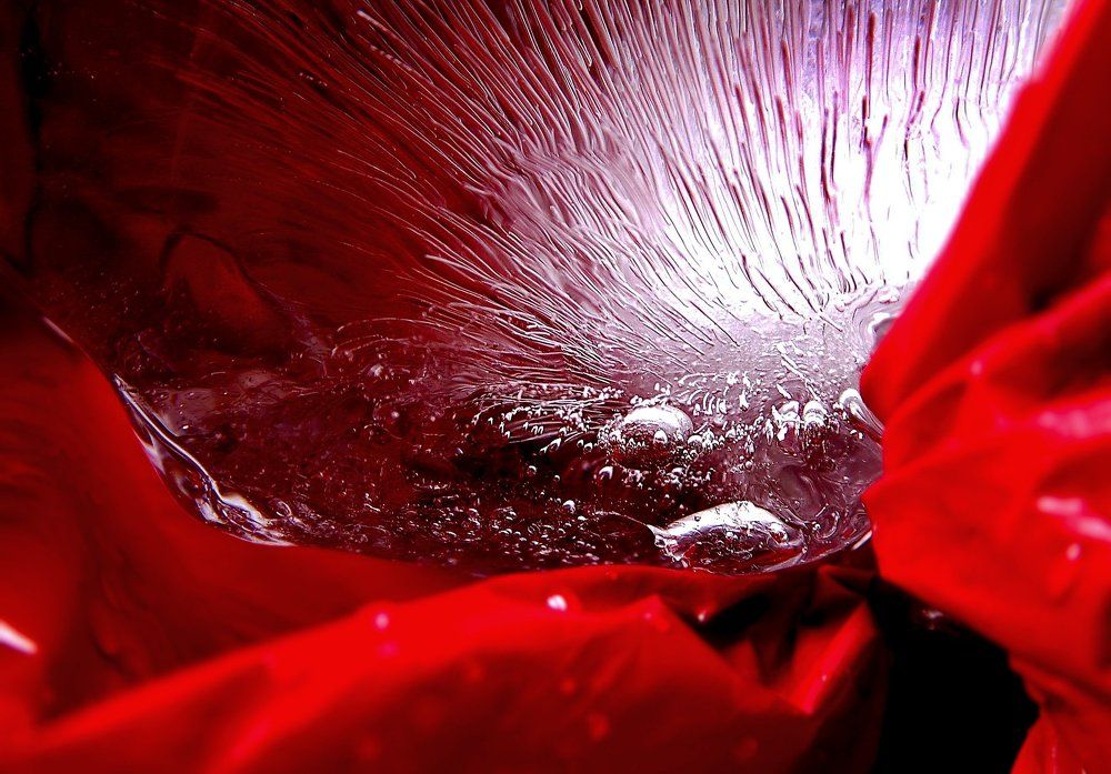 Макромир льда