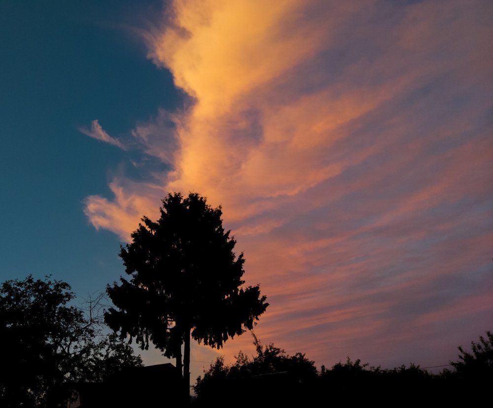 Beauty of nature
