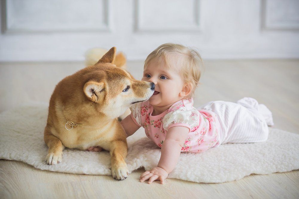 Photograph by Базунова Виктория